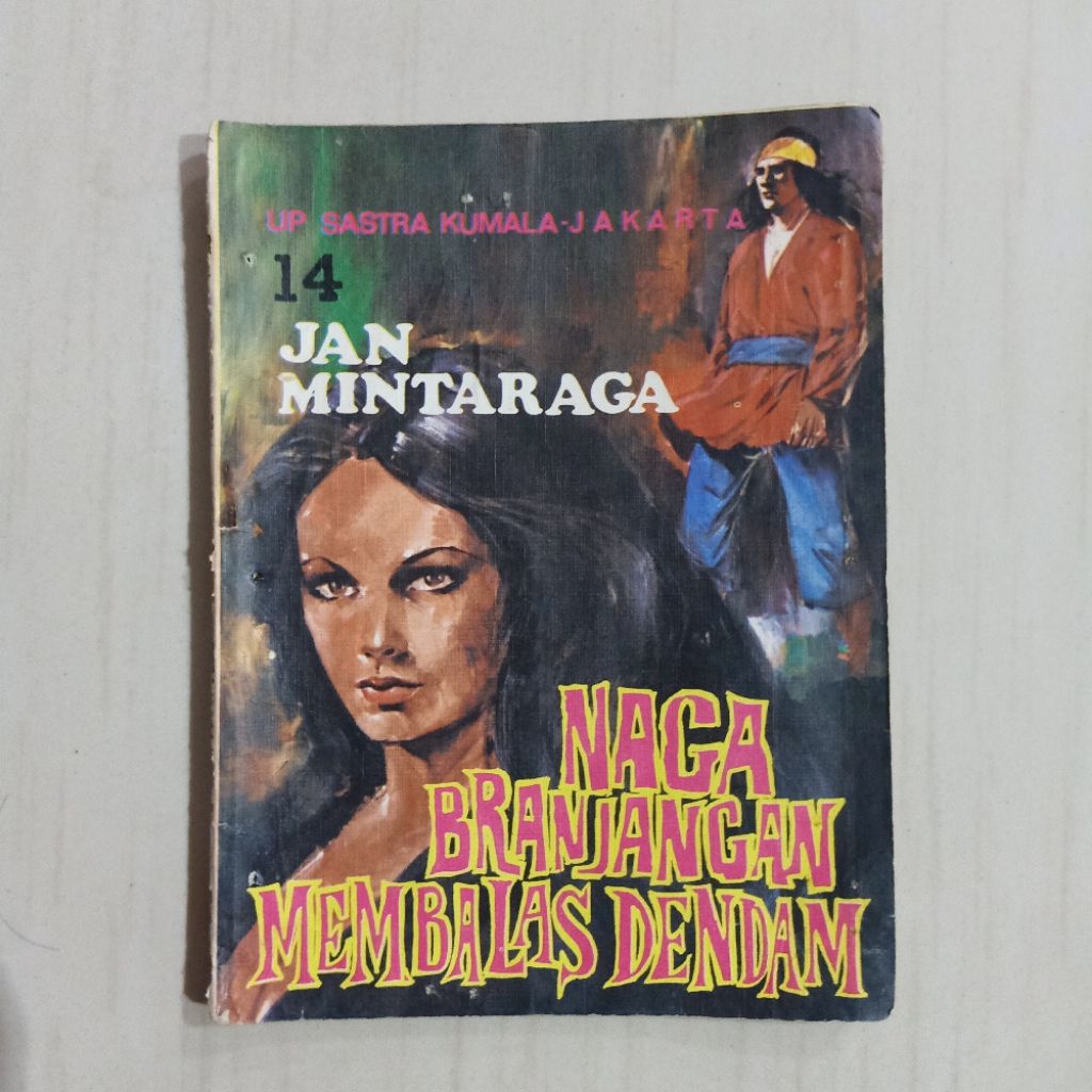 Branjangan Dragon Comic Defending Revenge (J Jan Mintaraga)