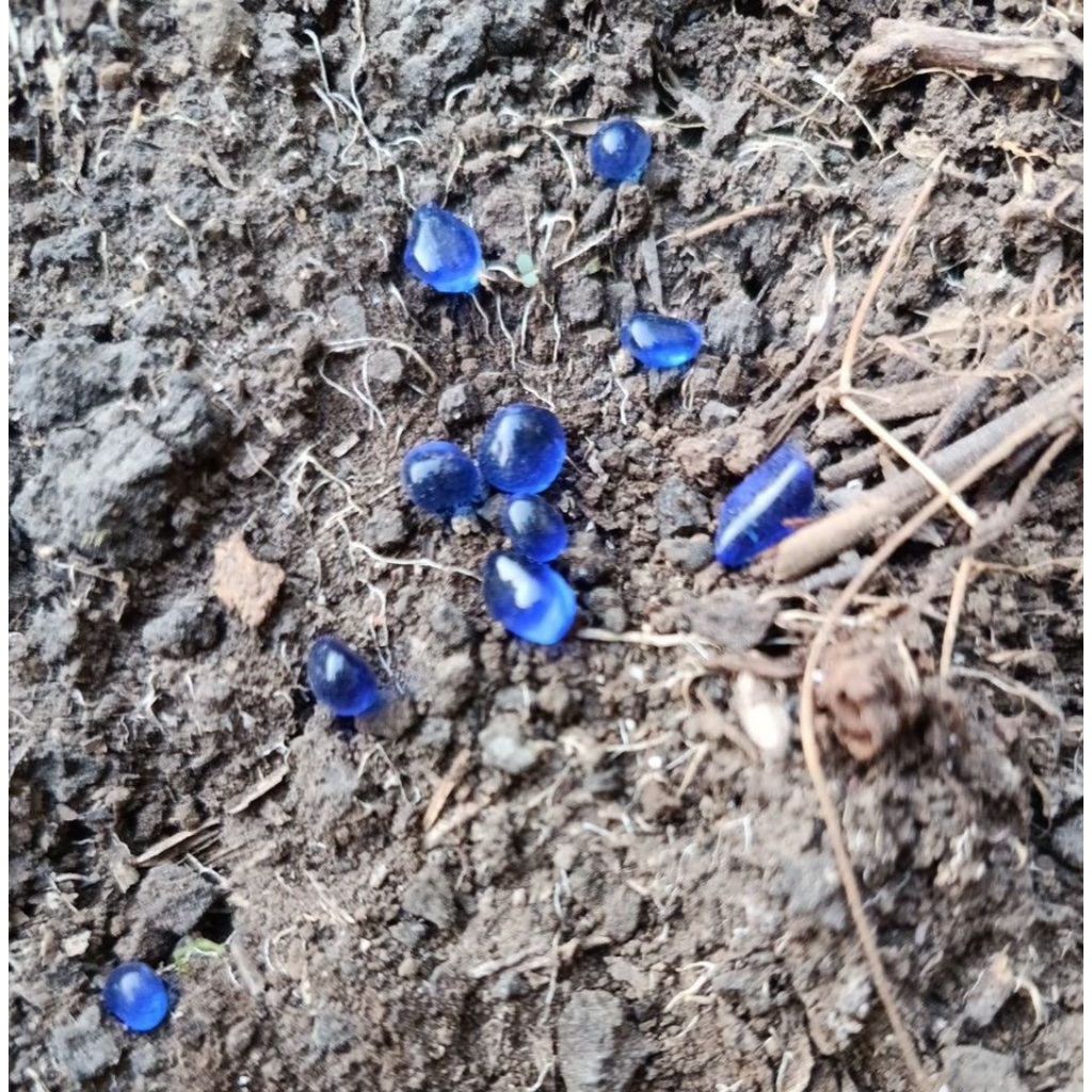 Mustiko L1P4N Tunjung Biru Gravel Agate