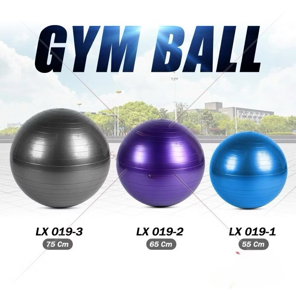[เวลาขนม] Gym Ball fitness 75 cm / Gym Ball / yoga Ball อุปกรณ์กีฬา (Baus Pump) Gymball 019-3