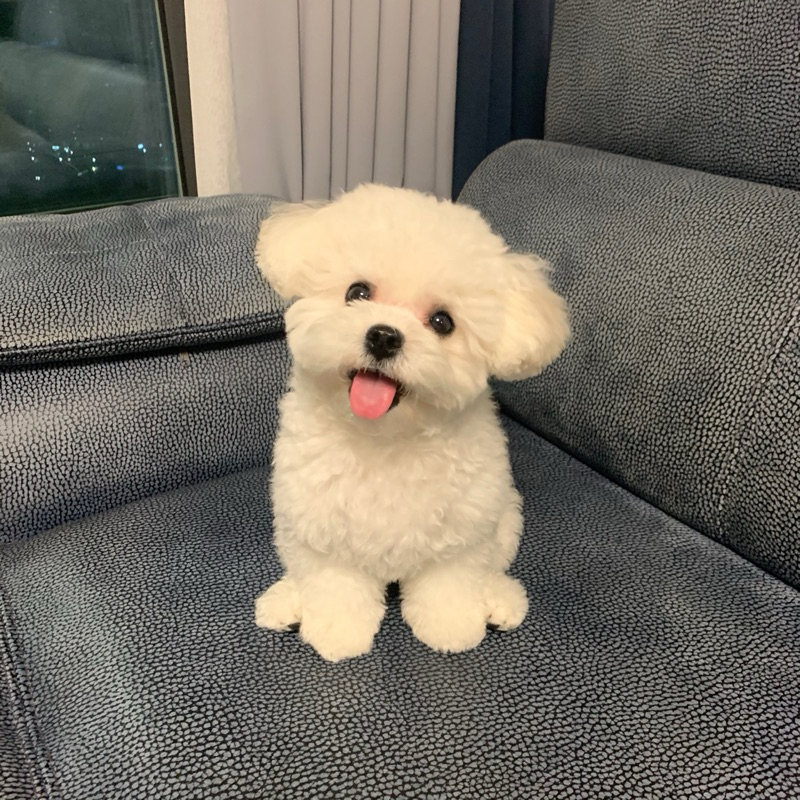 @mycat_*************