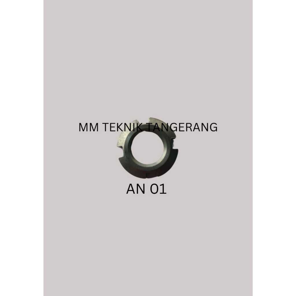 Locknut AN 01 GP Ring Locknut AN01