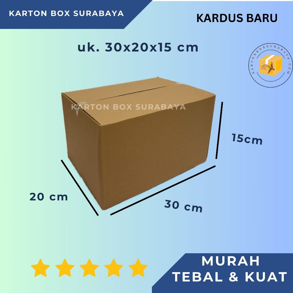 30X20X15 cm / CARDBOARD BOX PACKING ONLINE PLAIN PACKAGING
