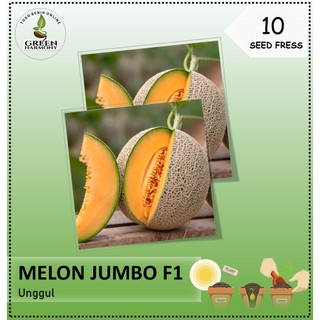 Bibit Buah Melon Jumbo Hibrida Isi 10 Benih