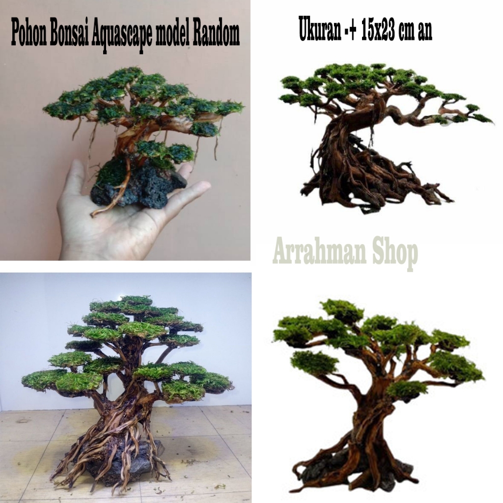 Aquascape bonsai Tree aquarium ตกแต่งพร้อมใช้งาน - aquascape aquarium ตกแต่ง aquascape aquarium bons