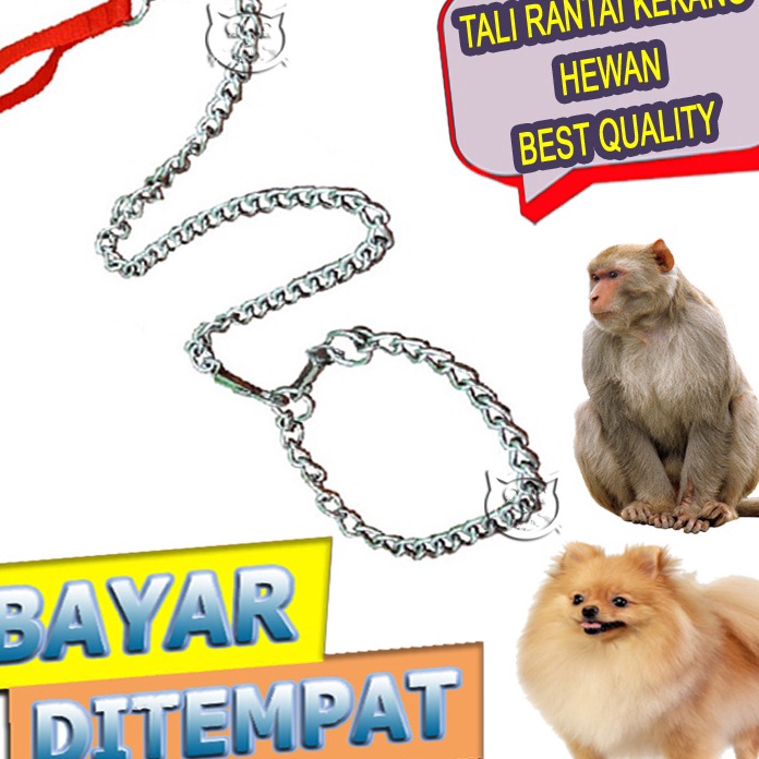 Update ITEMS Cat Dog Monkey Ferret Oter Chain Leash