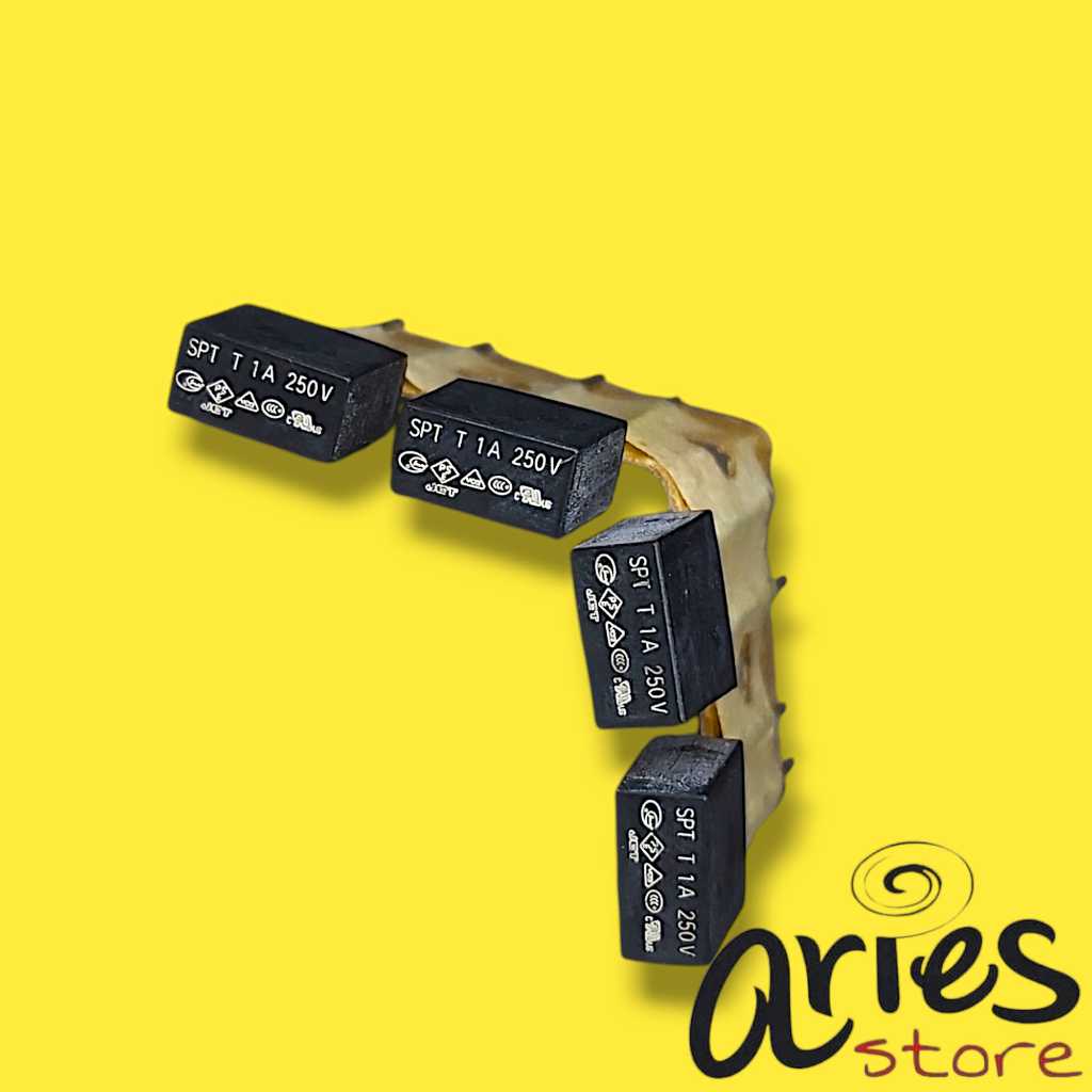 FUSE BOX 1A 250V RENG