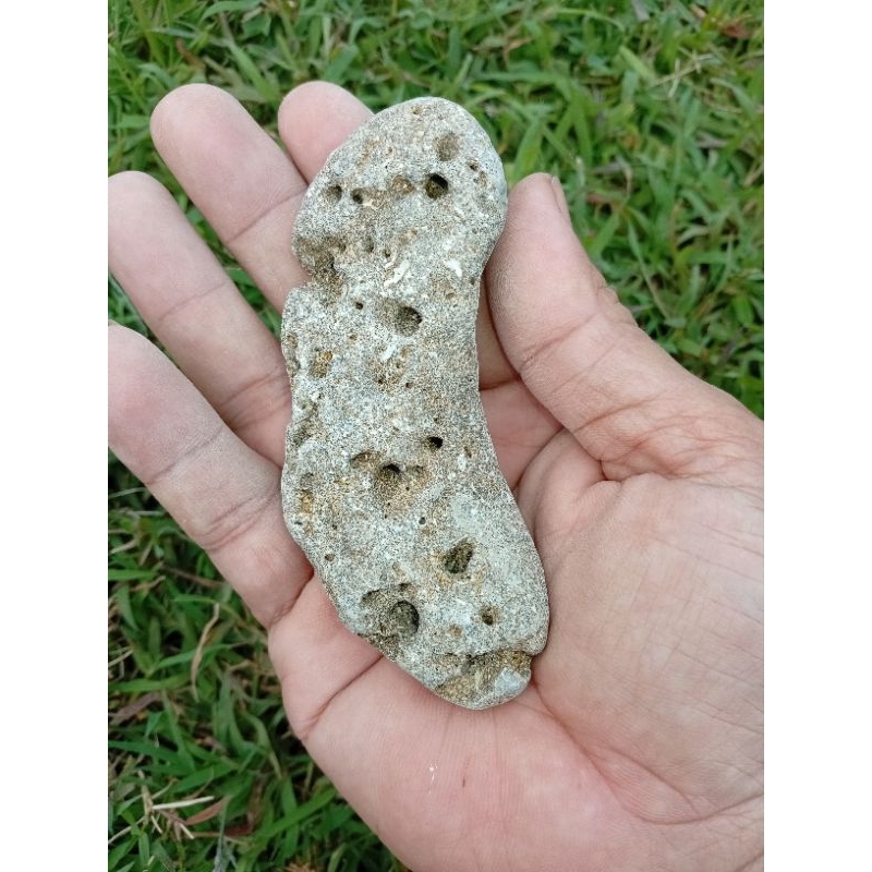 ดาวตก gad1ng g4j4h 71