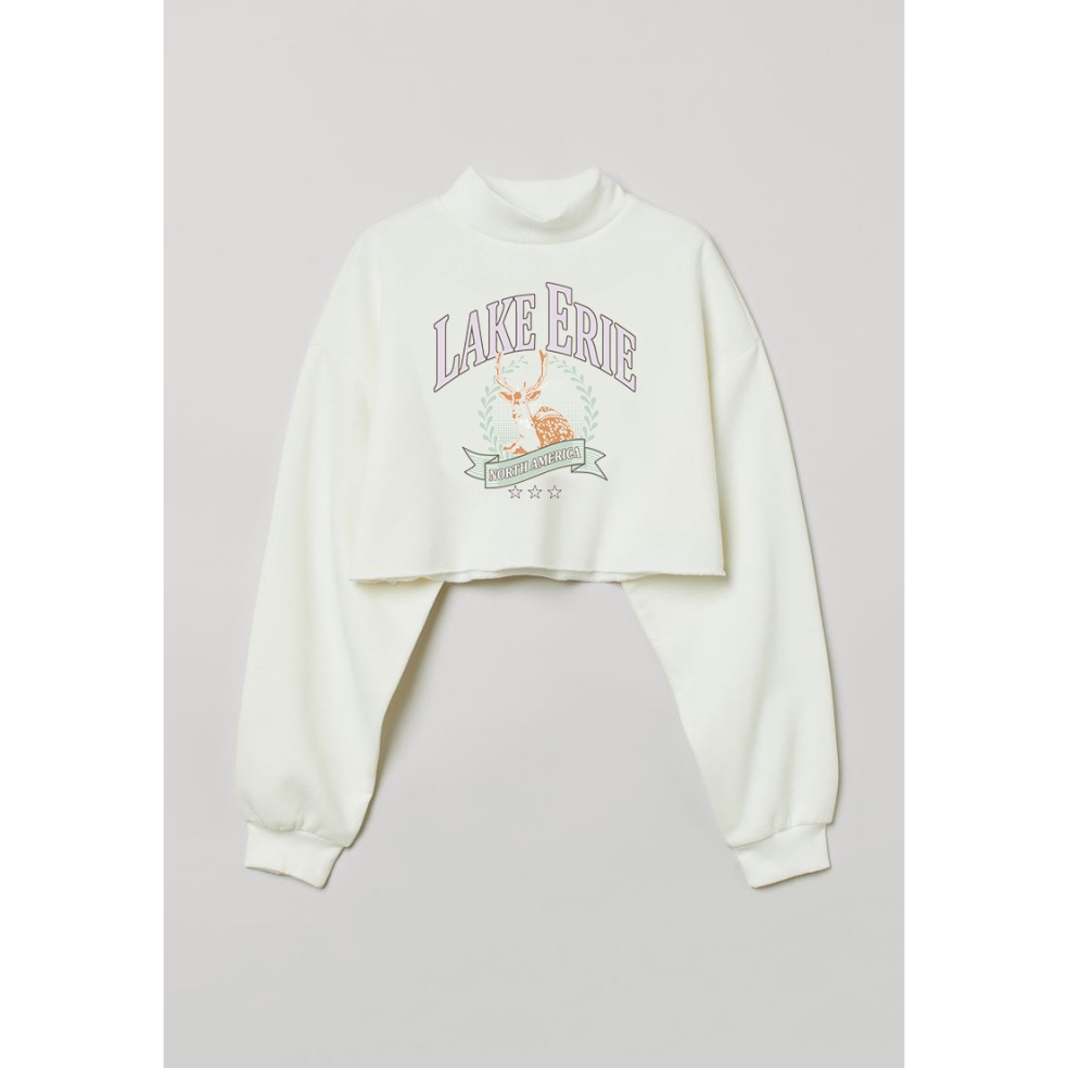 Crop Sweater HM Lake Erie Broken White Crewneck Crop Women soft cream