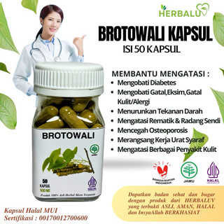 Kapsul Brotowali HERBALUV Original Herbal (Gatal, Alergi, Eksim)