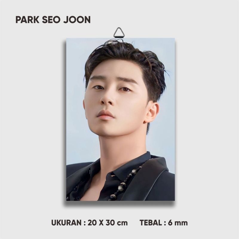Walldecor Wall Display Park Seo Joon