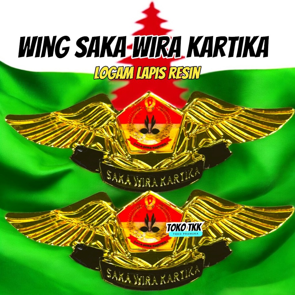 Pin saka hero kartika wing model