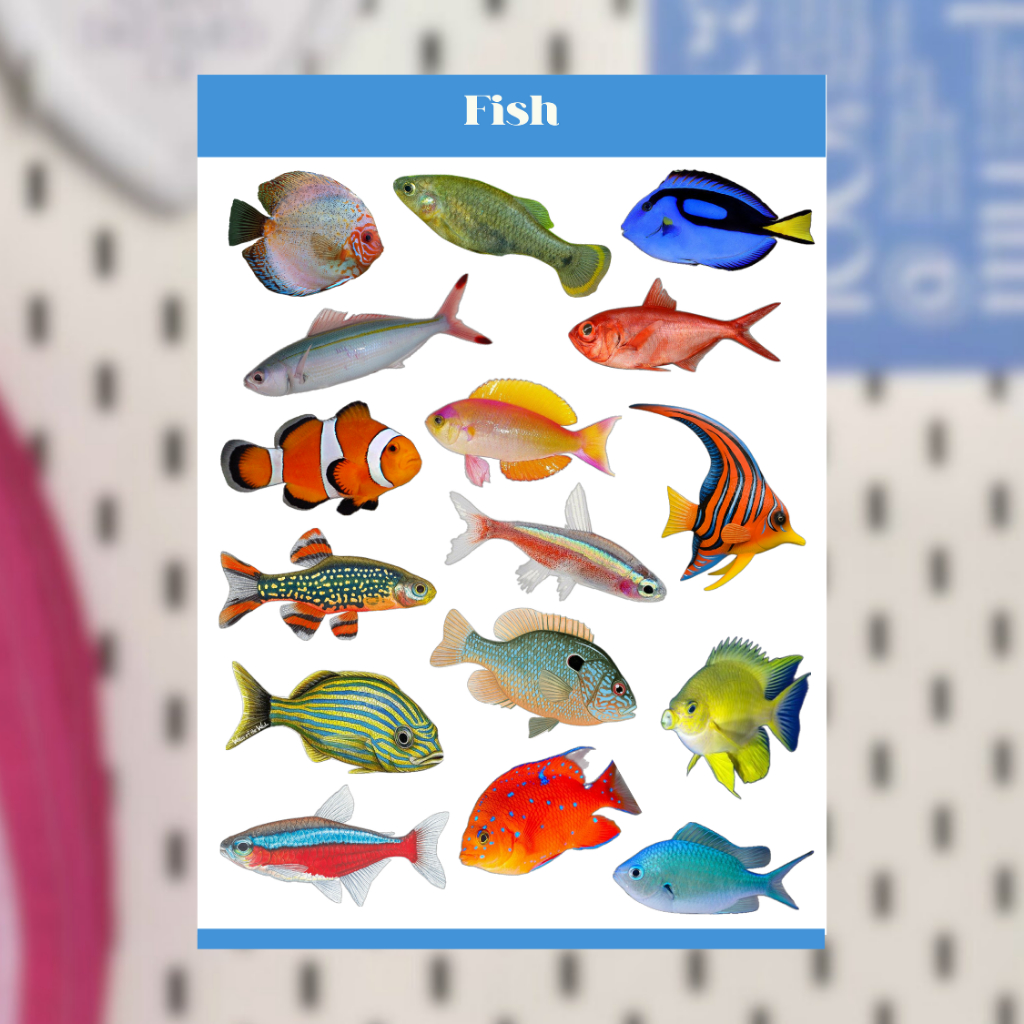 FISH CUTE DECO STICKER SHEET / CUTE KAWAII DECO STICKER VINTAGE RETRO ATESTHETIC สําหรับ JOURNALING