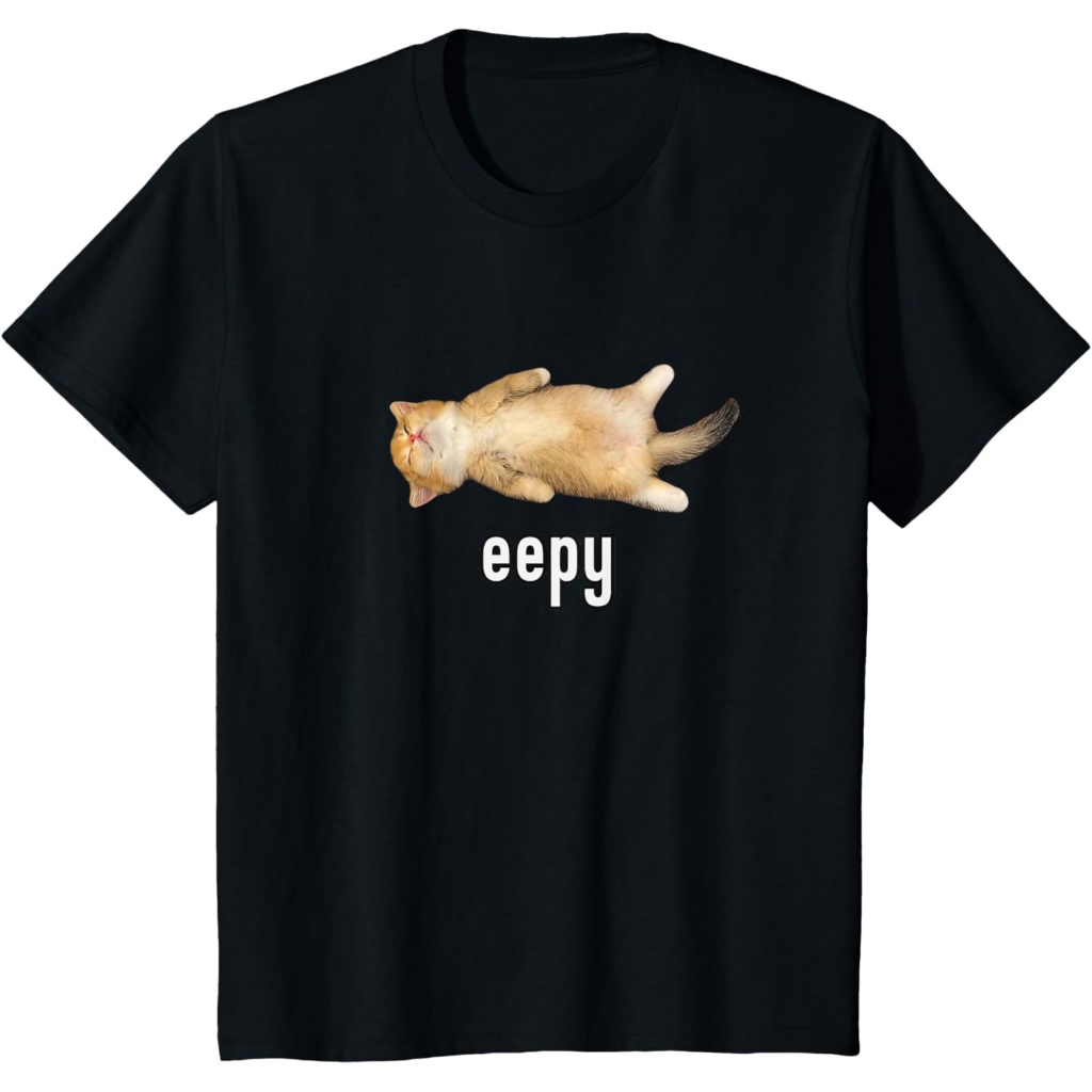 เสื้อยืดตลก Knocking Cat Meme