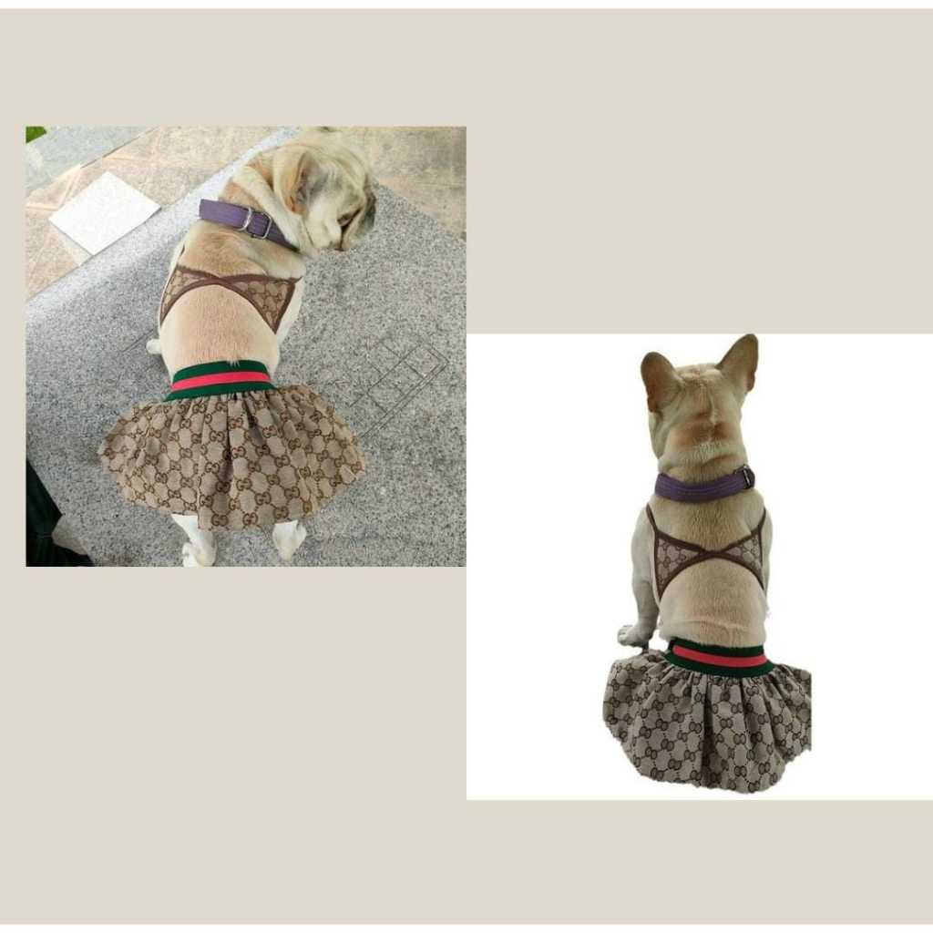 Swim Wear สุนัข/แมว DP-SW-14