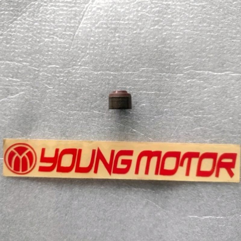 ก้านซีลวาล์ว ซีลวาล์ว Yamaha Mio / Mio GT/ soul GT/ NMAX (54P-E2119-00)