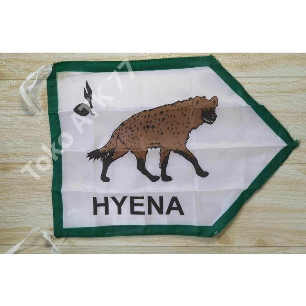 ธง Hyena Scout Troop