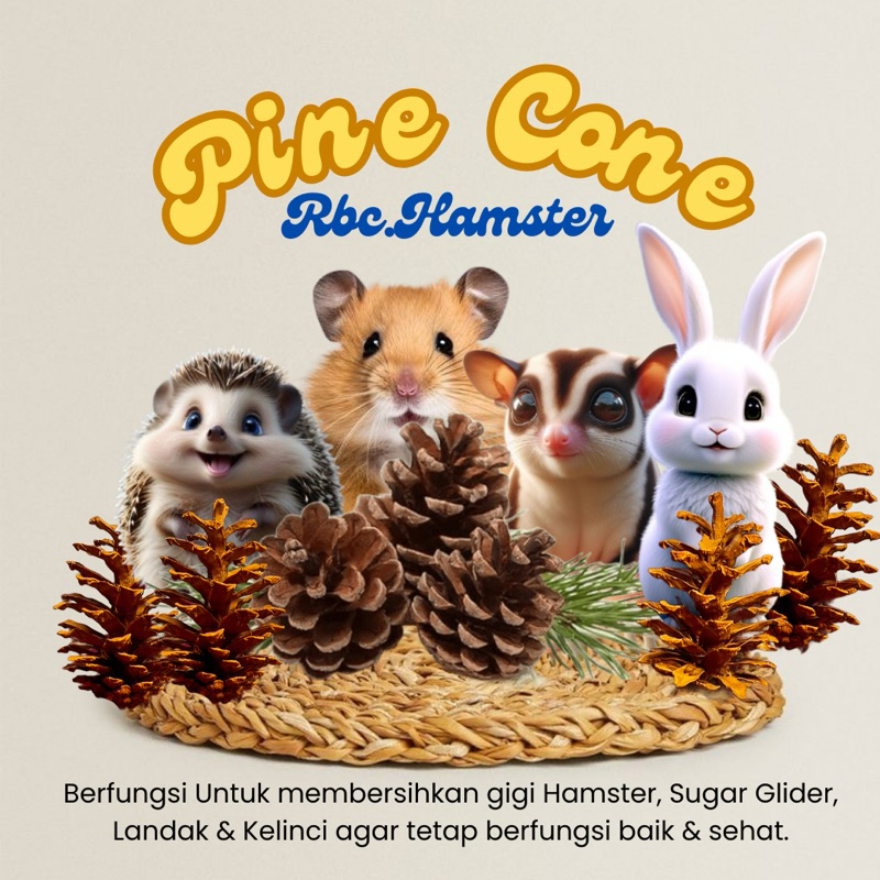 HAMSTER PINE CONE TOY PINE CONE PINE ผลไม้ FIR