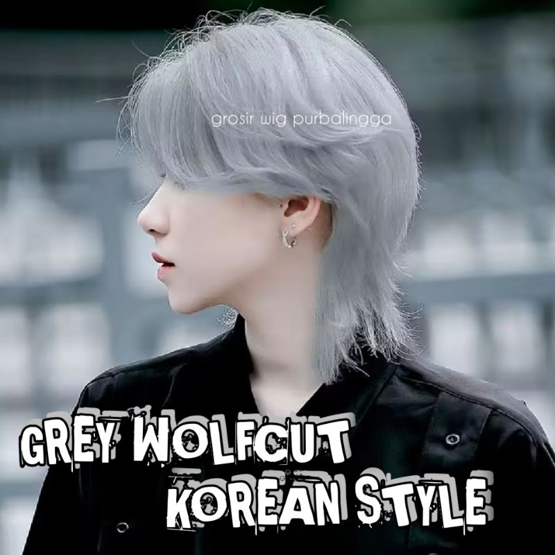 MERAH ขายส่งวิกผมผู้ชายเกาหลีผมยาว Wolfcut รุ่นสีเทาสีแดงสีฟ้าสีขาวสีน้ําตาลสีดํารหัส A5 สี