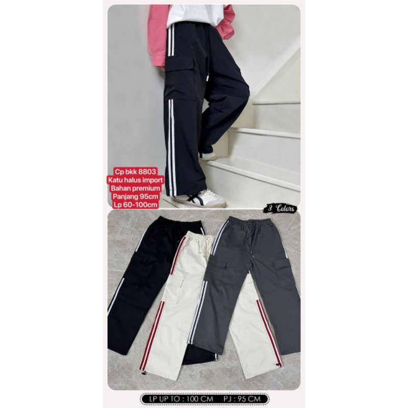 8803 cp bkk*********