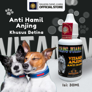 OBAT ANTI HAMIL ANJING | OBAT ANTI KEHAMILAN ANJING AMPUH MENCEGAH KEHAMILAN ANJING