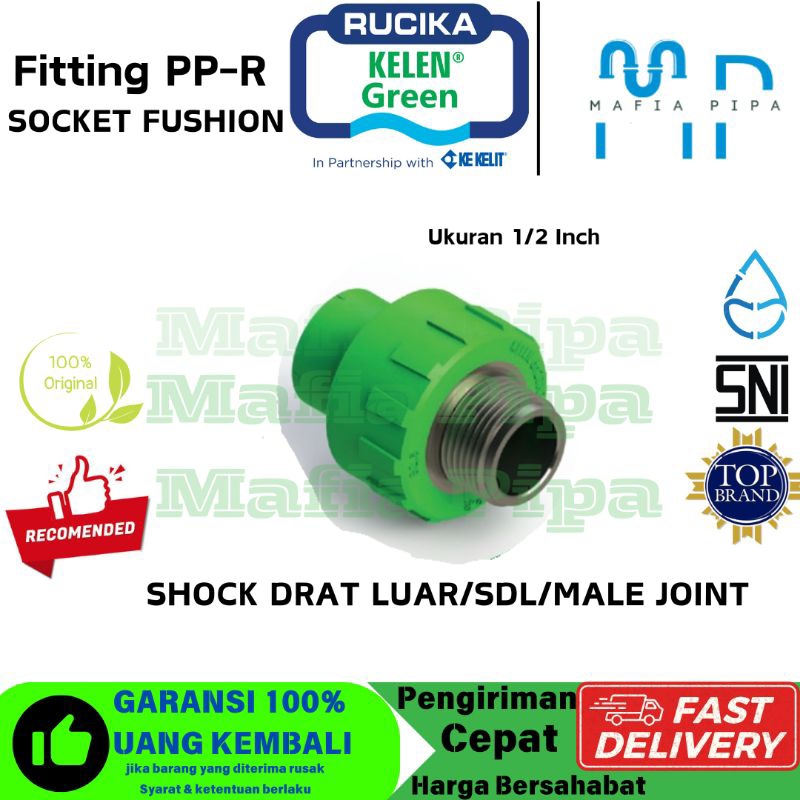 ข้อต่อเกลียวตัวผู้ PPR 20mm x 1/2" Rucika Kalen Green