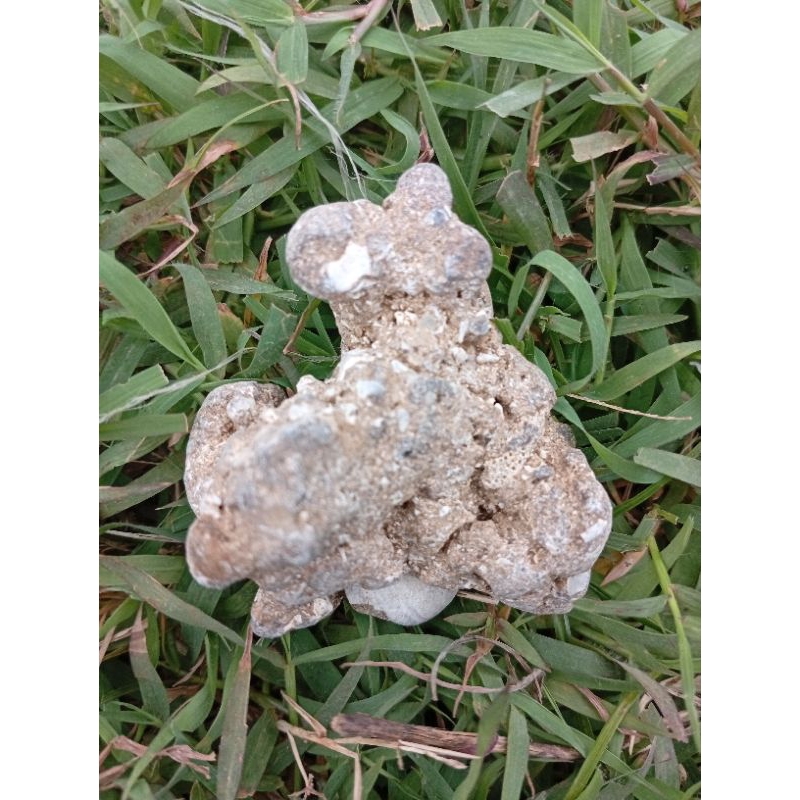 ดาวตกพันf0s1l 9*****