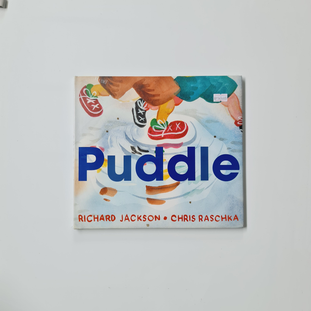 Remainderbook - Puddle