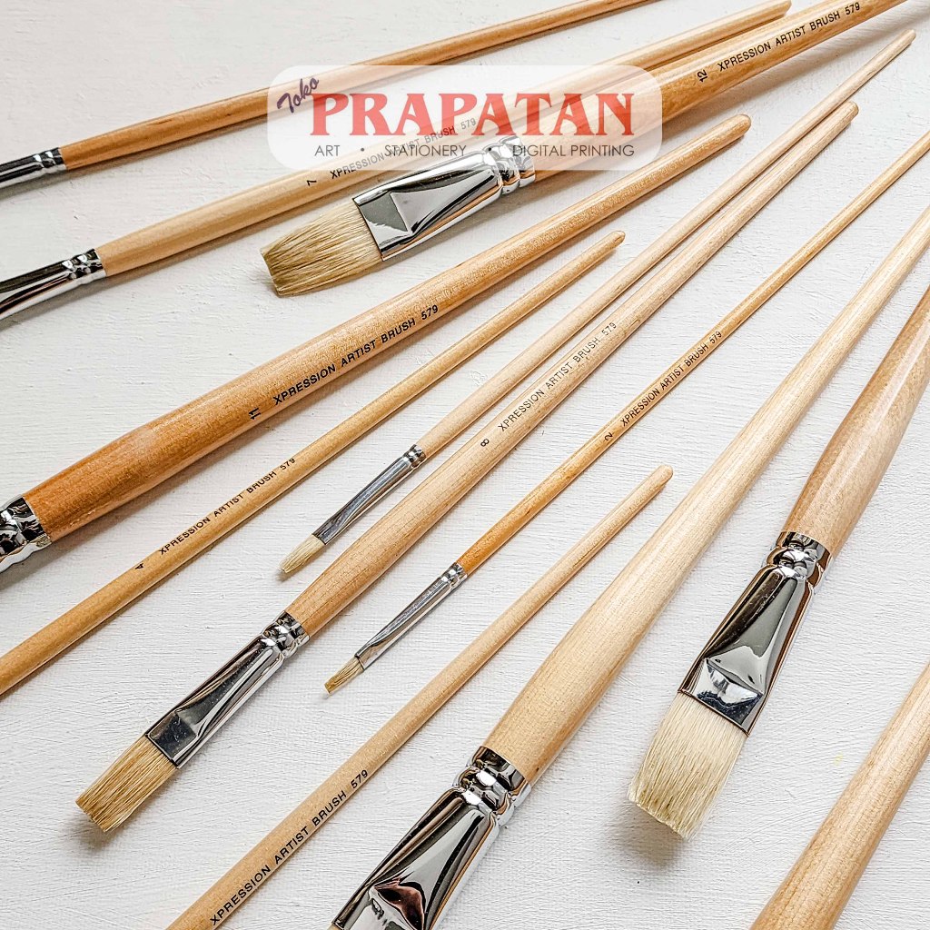 แปรงทาสี Xpression 579 Xpression