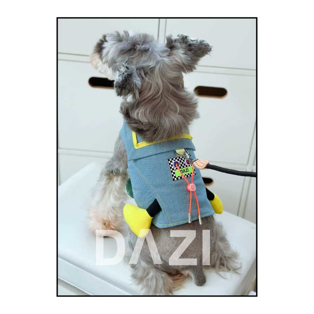 เสื้อผ้าสุนัข/แมว DP-CL-BOY-28