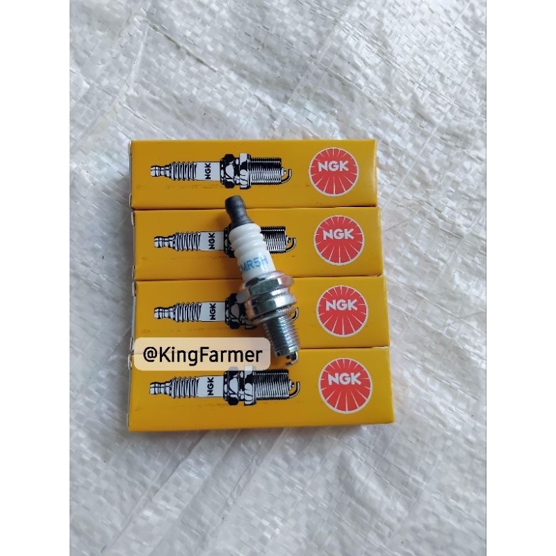 SPARK PLUG / SPARK PLUG CMR5H NGK