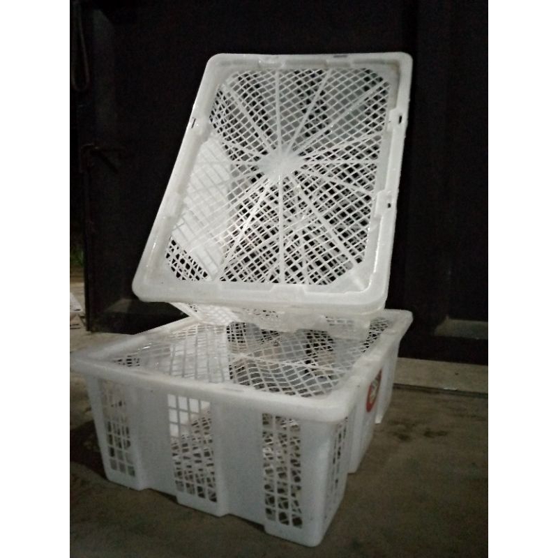 กล่องตะกร้าพลาสติก UK P40 L28 T14 ใช้ผลไม้+ฝาสะอาดแล้ว