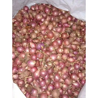 1 kg Bawang merah ares kecil mini>bawang merah kecil