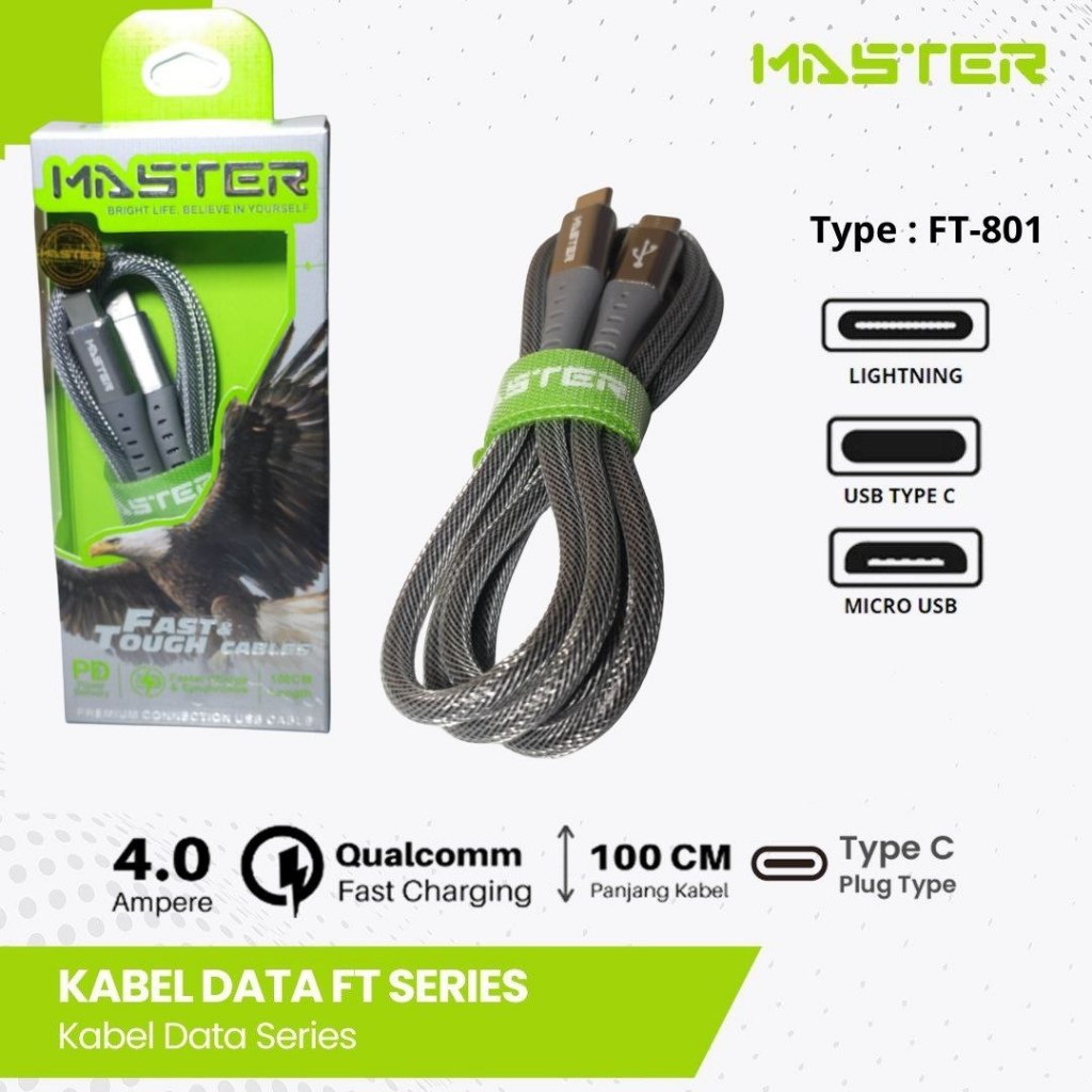 สายดาต้า MASTER type C to type C master FT 801