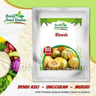 benih blewah super isi 80 biji / bibit blewah super cepat tumbuh / blewah berkualitas