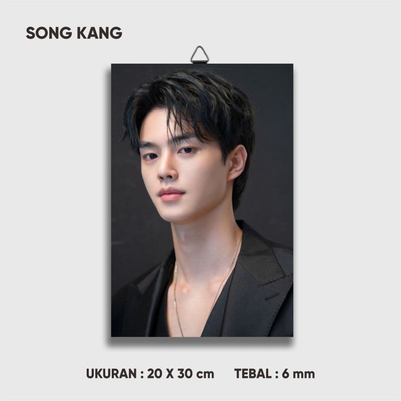 Walldecor Song Kang Wall Display