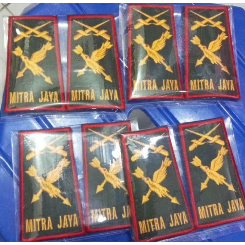 Rank evolet jaya mitra ขายอันดับ JAYA PARTNER JAYA PARTNER EVOLET COSTUME