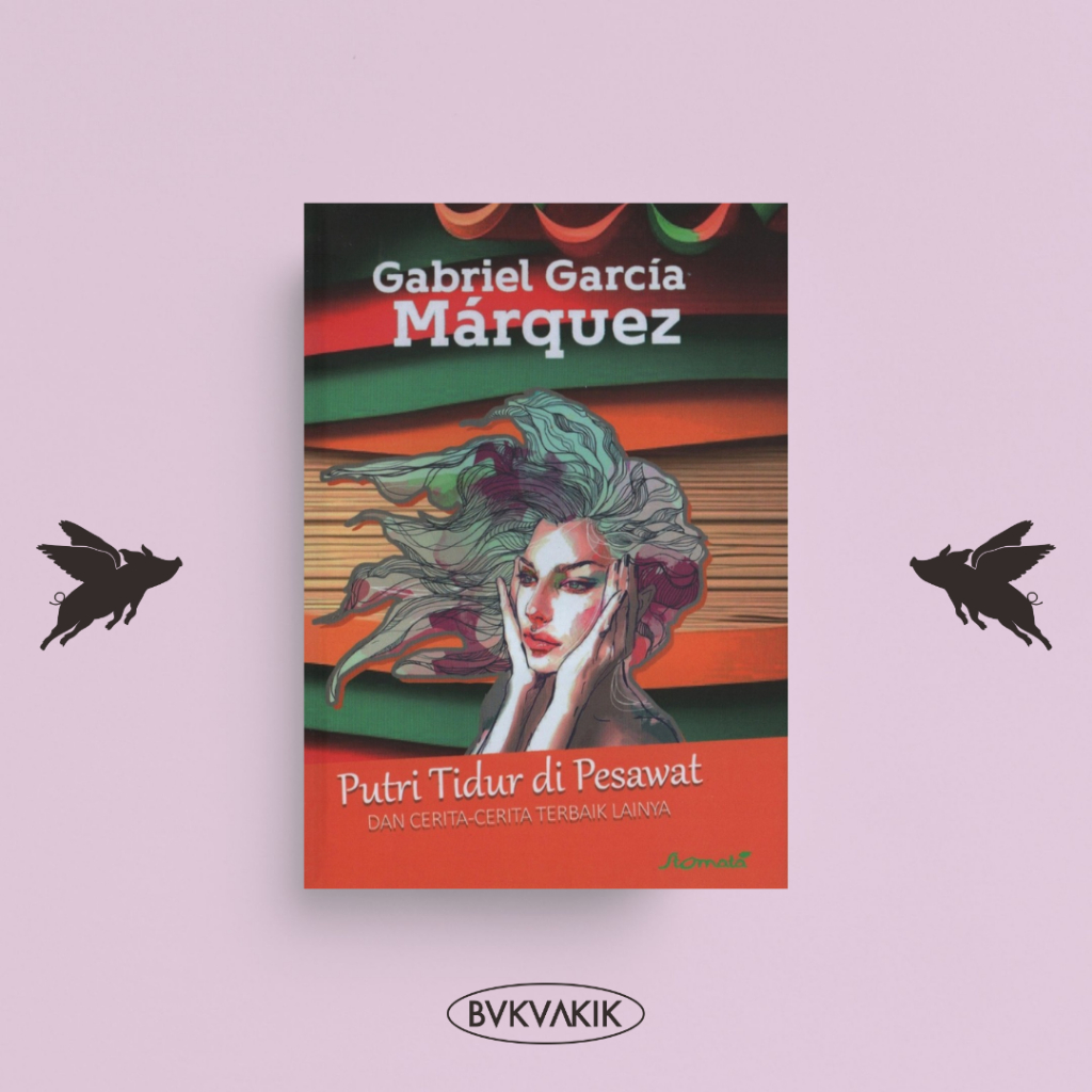 Princess Sleep in the Airplane - Gabriel Garcia Marquez