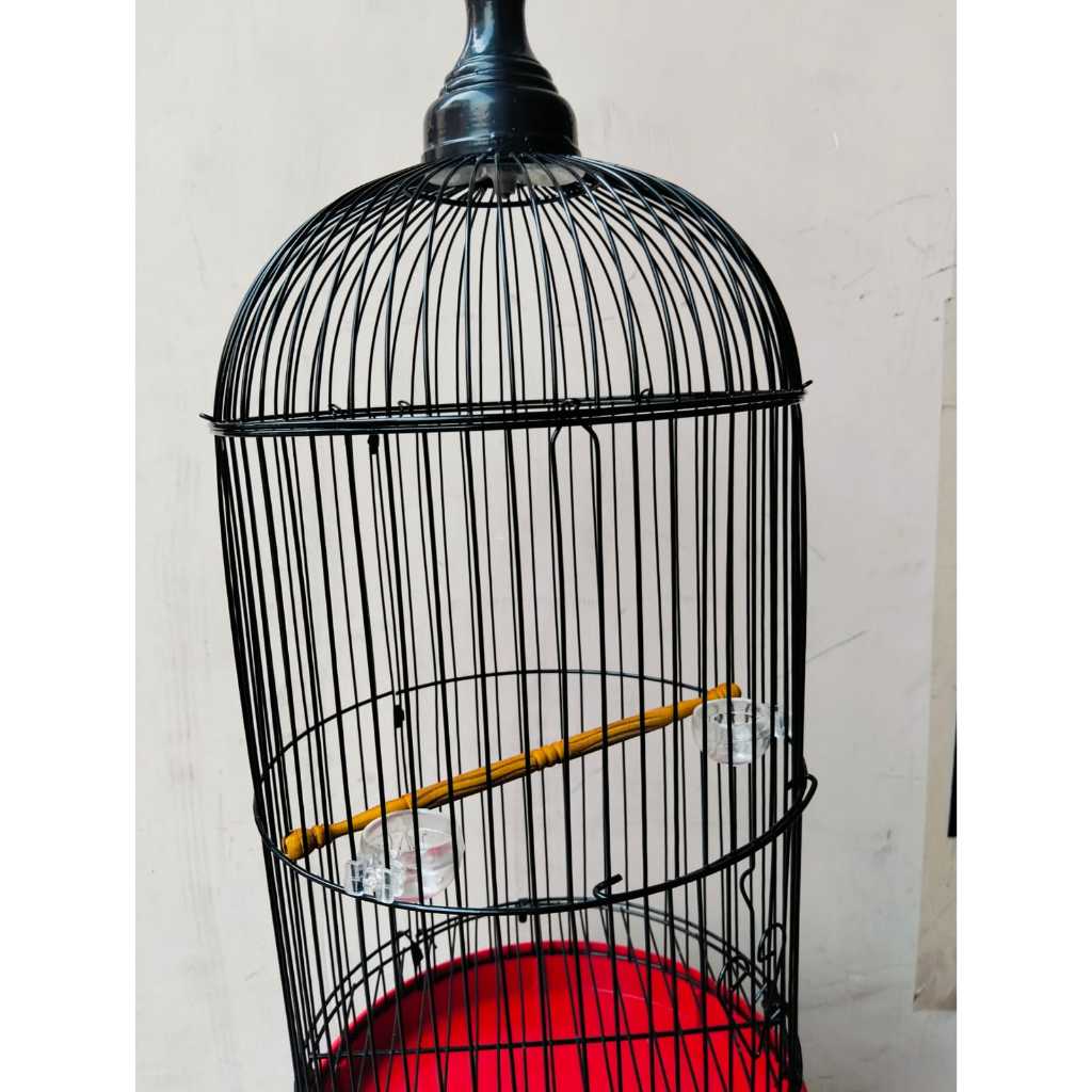 Tangkringan KONIN/LOPET CAGE CAGE POTTER MOTIF