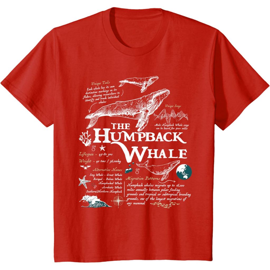 เสื้อยืด Anatomy Whale Anatomy Marine Biology สําหรับเด็ก