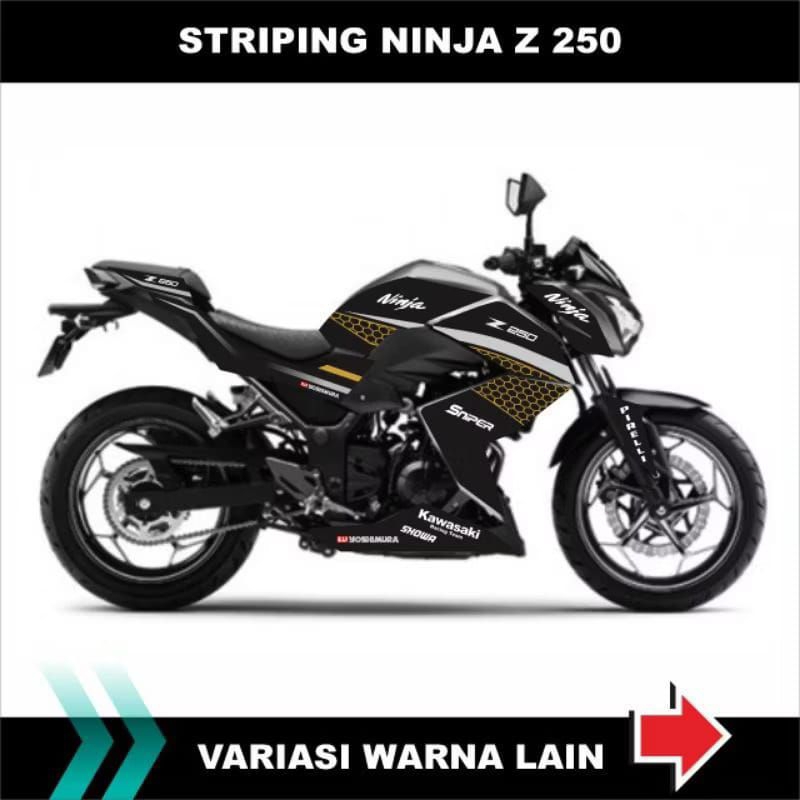 รูปลอก Striping Ninja Z 250 สติ๊กเกอร์ Variation Graphic Motif Livery Carbon