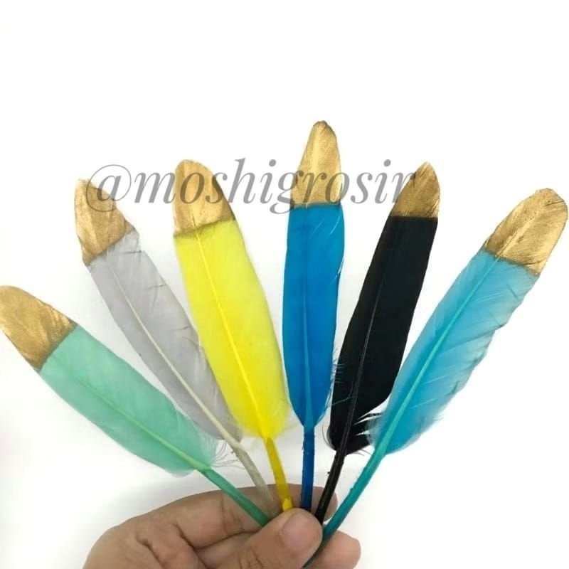 ต่อ 1 ชิ้น - ทอง SPED GOSE FEATHERS/GOLD SPED FEATHERS/GOOSE FEATHERS/VARIOUS FEATHERS