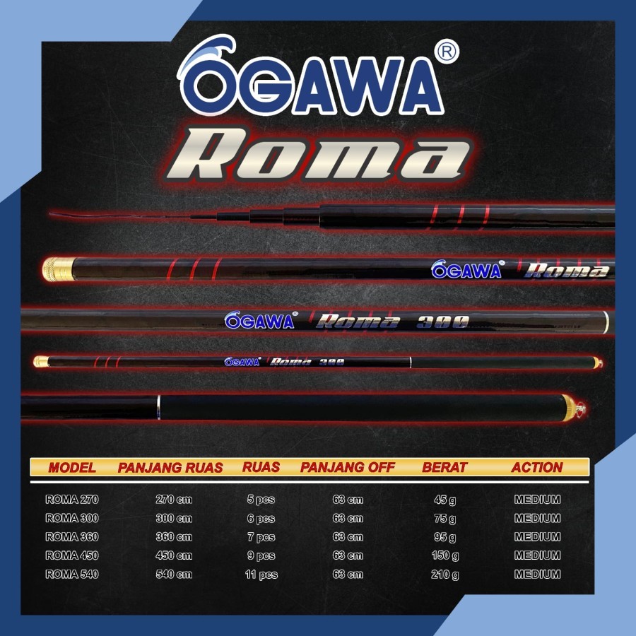 TEGEK OGAWA ROMA****
