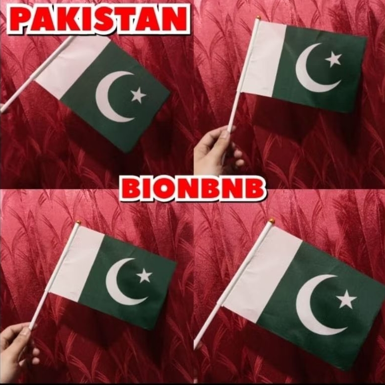 PAKISTAN COUNTRY HAND FLAG!