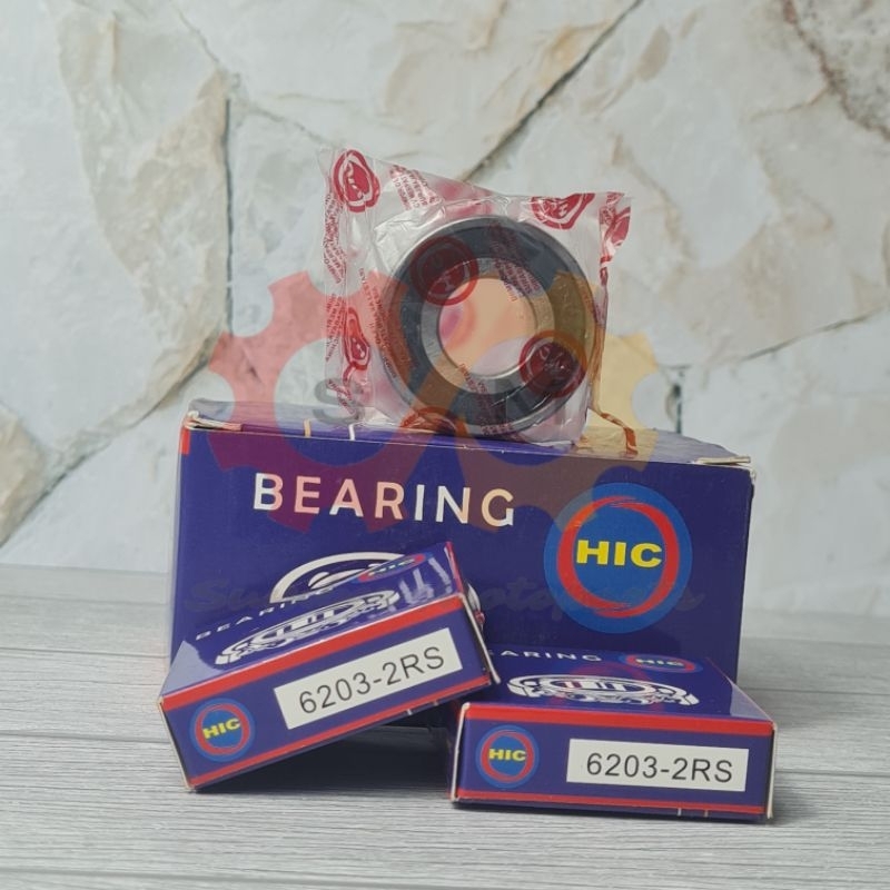 6203 2RS HIC********
