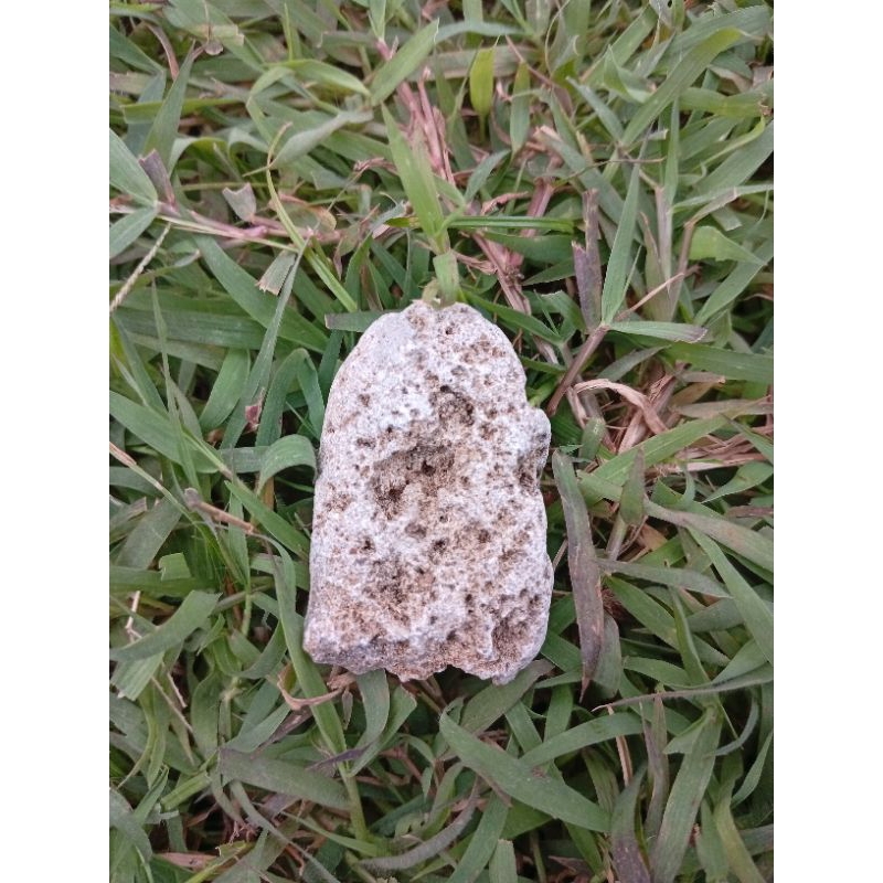 ดาวตก f0s1l สู้มด***