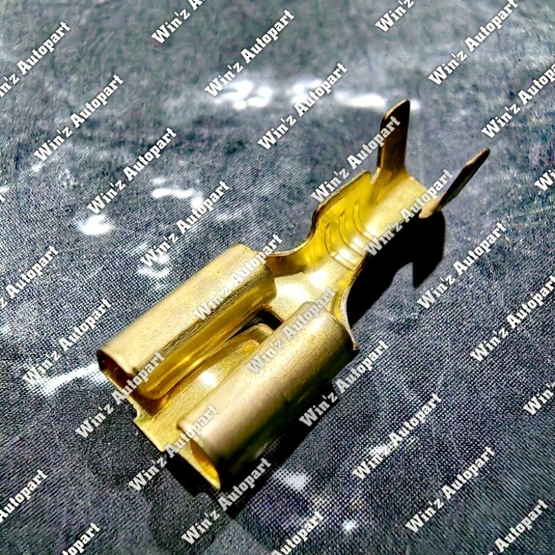 LARGE GIRL TERMINAL 6.3MM TYPE 3555 / LARGE GIRL SKUN / สายแบนหญิงขนาดใหญ่ TERMINAL TYPE 3555 / สาวแ