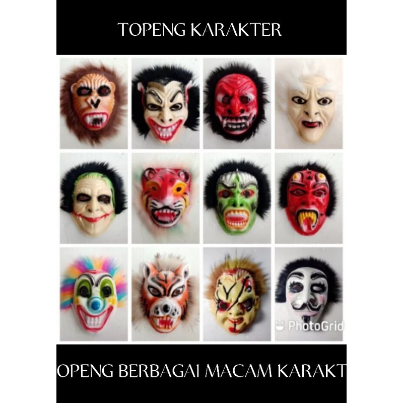 15 CHARACTER MASK/FUR MASK/CHARACTER MASK