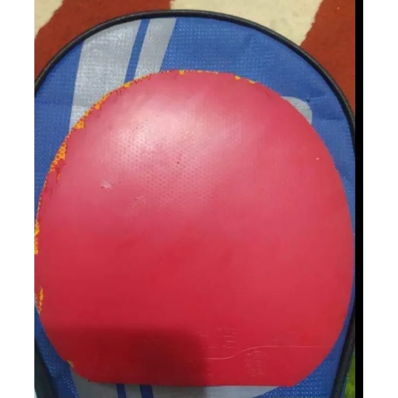 Gewo Nexus EL pro 48. สูงสุด.P 15.2 L 15. สภาพ 70%