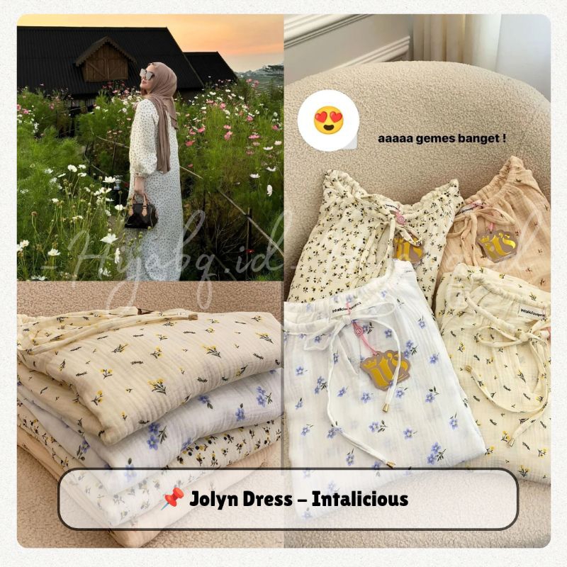 Jolyn DRESS - โครงการสําคัญ