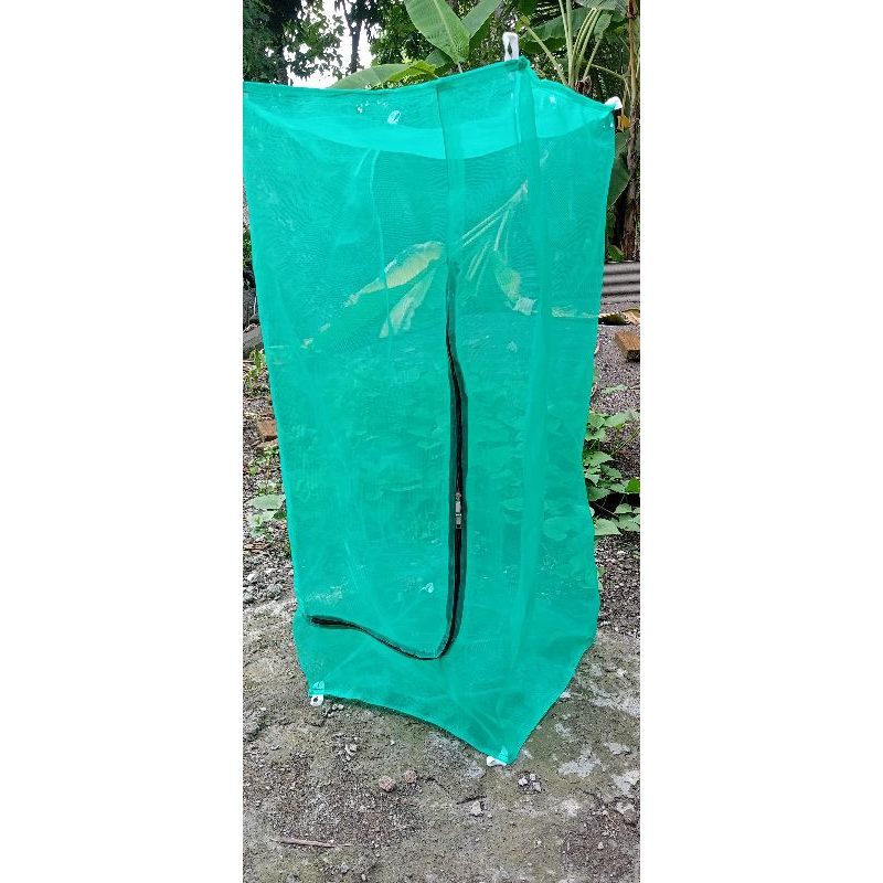 Maggot กรง กรงแมลงวัน bsf 30x30x100m พร้อมใช้งาน - รูปที่ 6